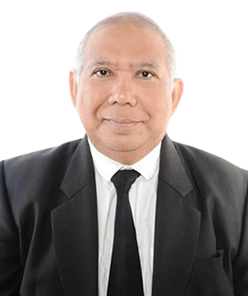 Prof. Ir. A A P A Suryawan Wiranatha, MSc. PhD